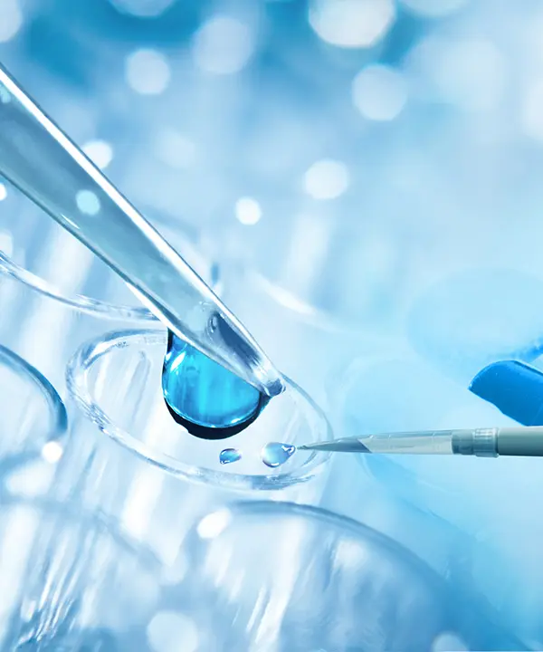 Intermediates & Basic Chemicals