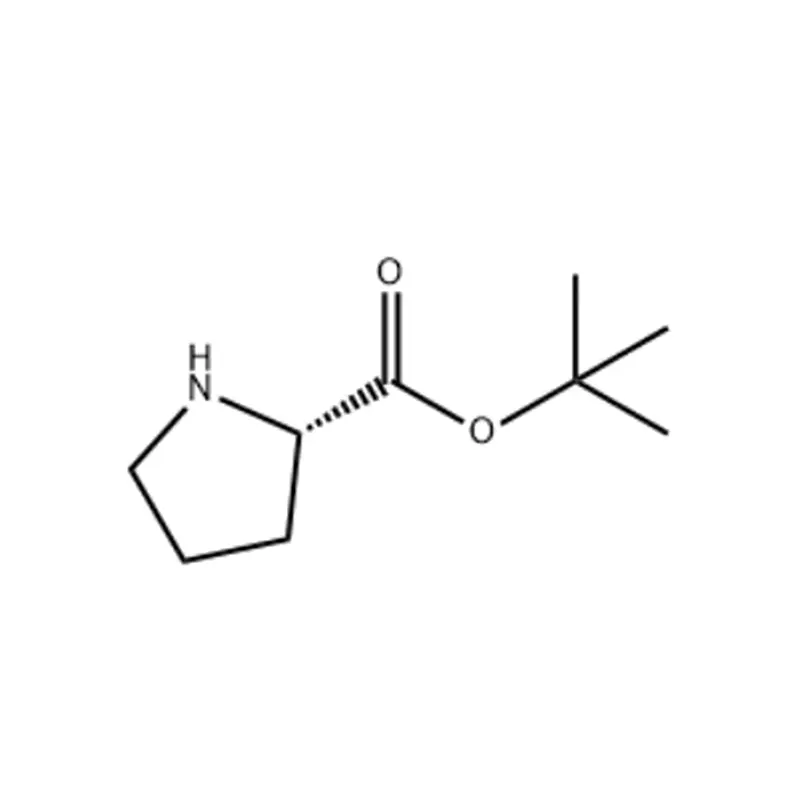 L-proline tert butyl ester CAS No. 2812-46-6
