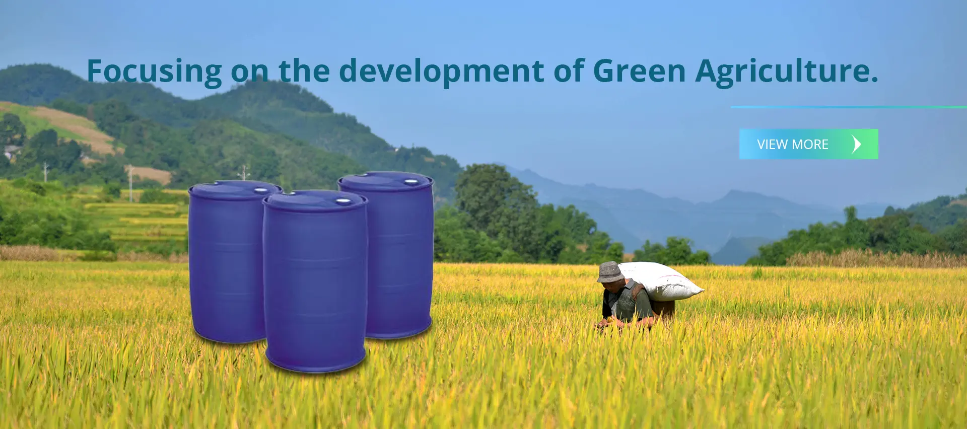 Focusing on the development of green agriculture