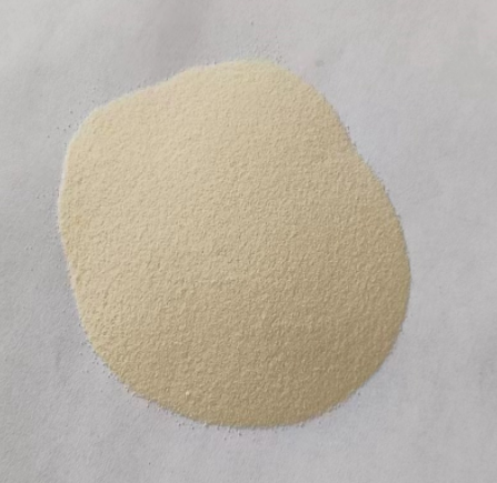 photo of protein